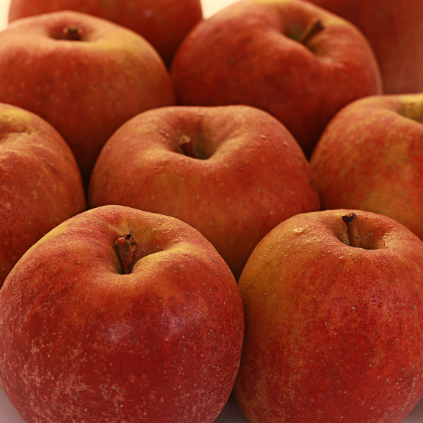 Biesterfelder Renette vom Obsthof Cordes