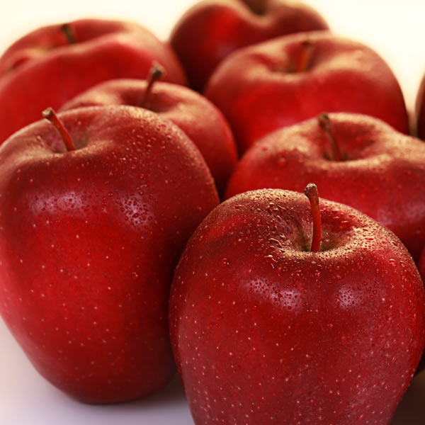 Gloster Apfel vom Obsthof Cordes