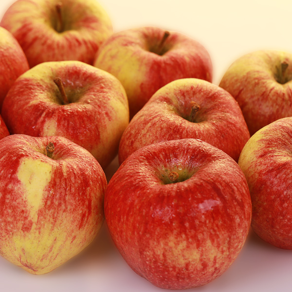 Altländer Pfannkuchenapfel vom Obsthof Cordes