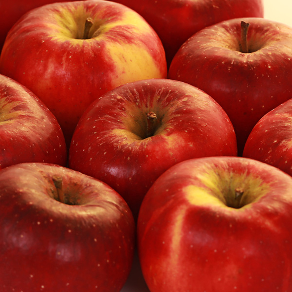 Topaz Apfel vom Obsthof Cordes